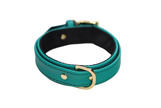 Teal and Gold Collar