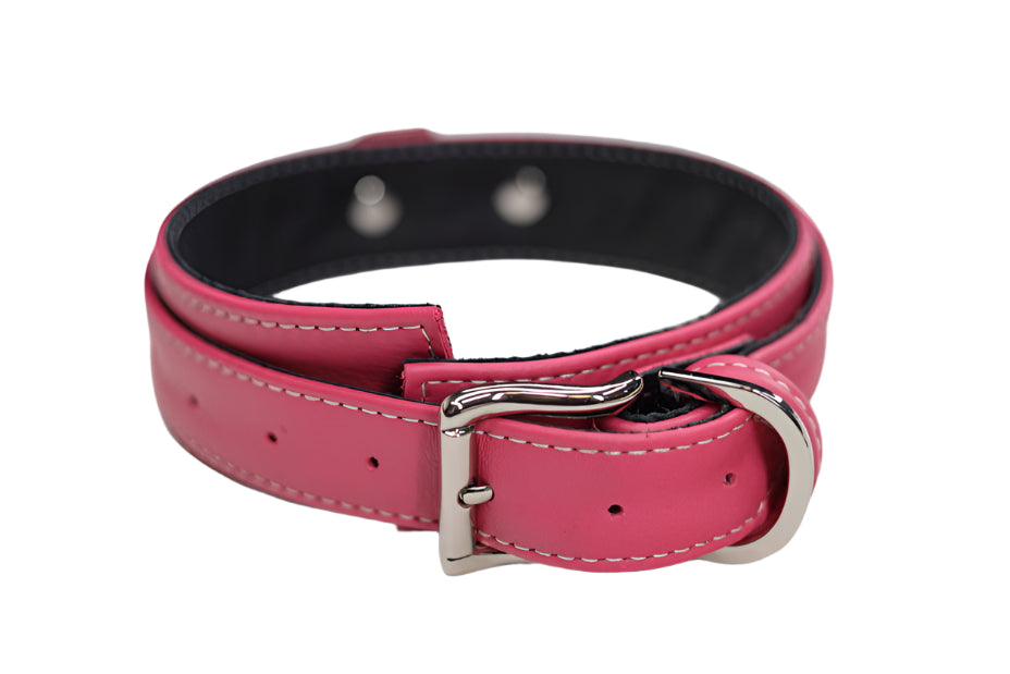 Pink and Silver Collar
