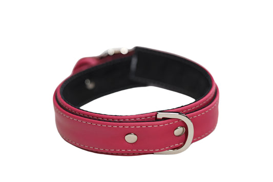 Pink and Silver Collar
