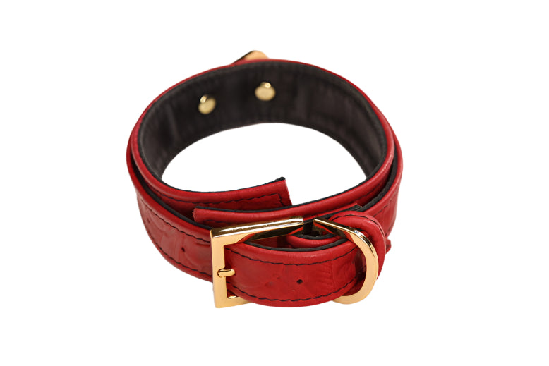 Red and Gold Collar with Capture Ring
