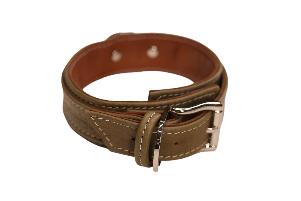 Olive Imitation Alligator and Silver Collar