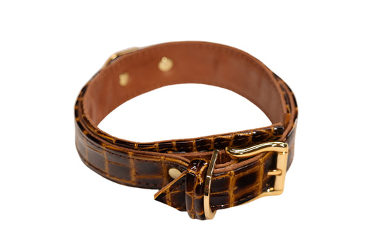 Shiny Brown Imitation Alligator and Gold Collar