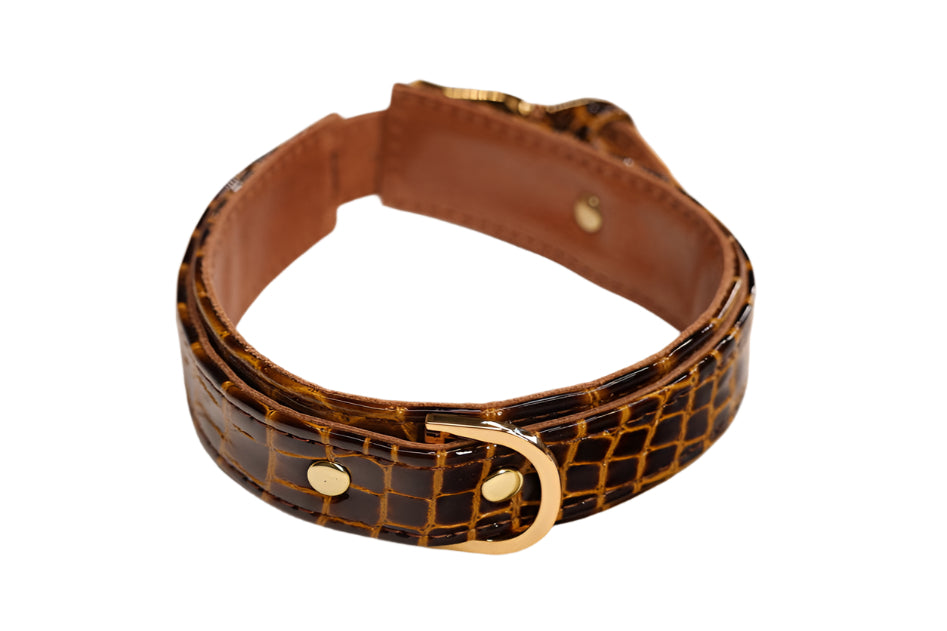 Shiny Brown Imitation Alligator and Gold Collar