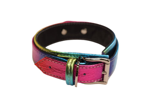 Rainbow and Silver Collar