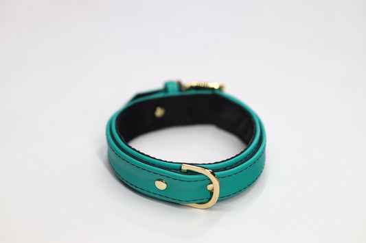 Teal and Gold Collar