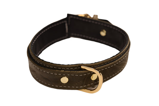 Olive Tooled and Gold Collar