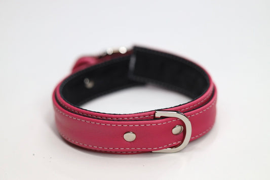 Pink and Silver Collar