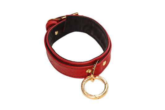 Red and Gold Collar with Capture Ring